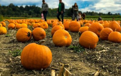 Fall into Autumn with These Festive Activities