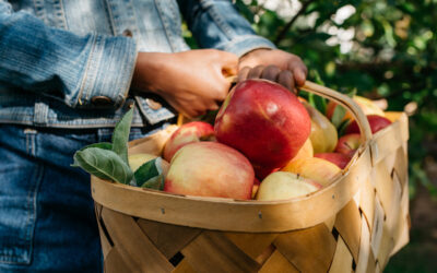 How to Get Your Autumn Fix This Fall