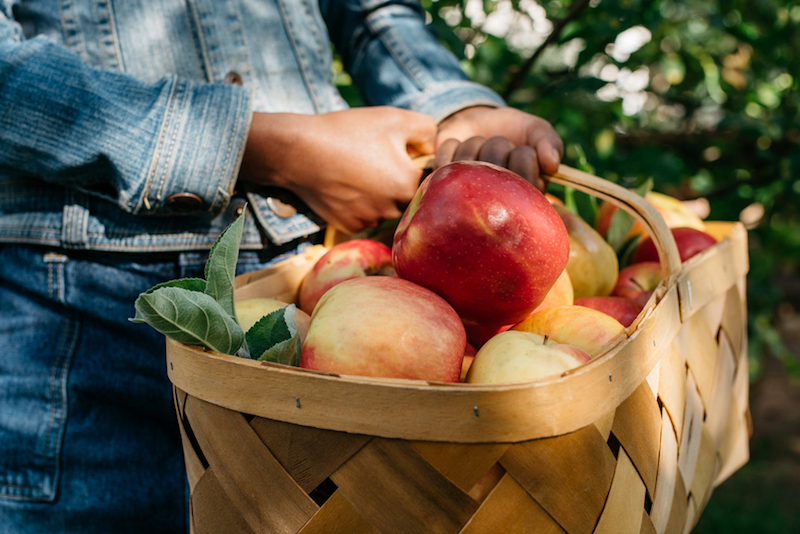 How to Get Your Autumn Fix This Fall