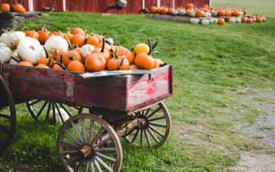 7 Outdoor Activities to Add to Your Fall 2021 Bucket List