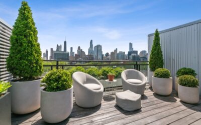 Tips for Cultivating Your Inner Green Thumb