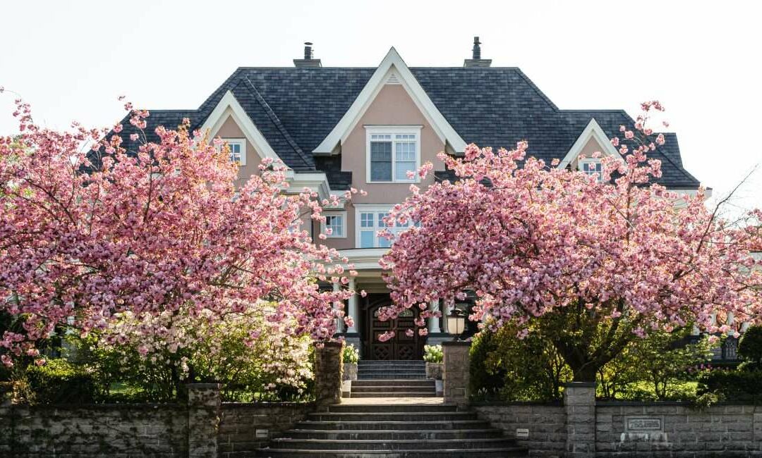 Five Positives Heading Into the 2023 Spring Market