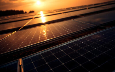 5 Reasons To Consider Installing Solar in Your Home if You Live in Illinois