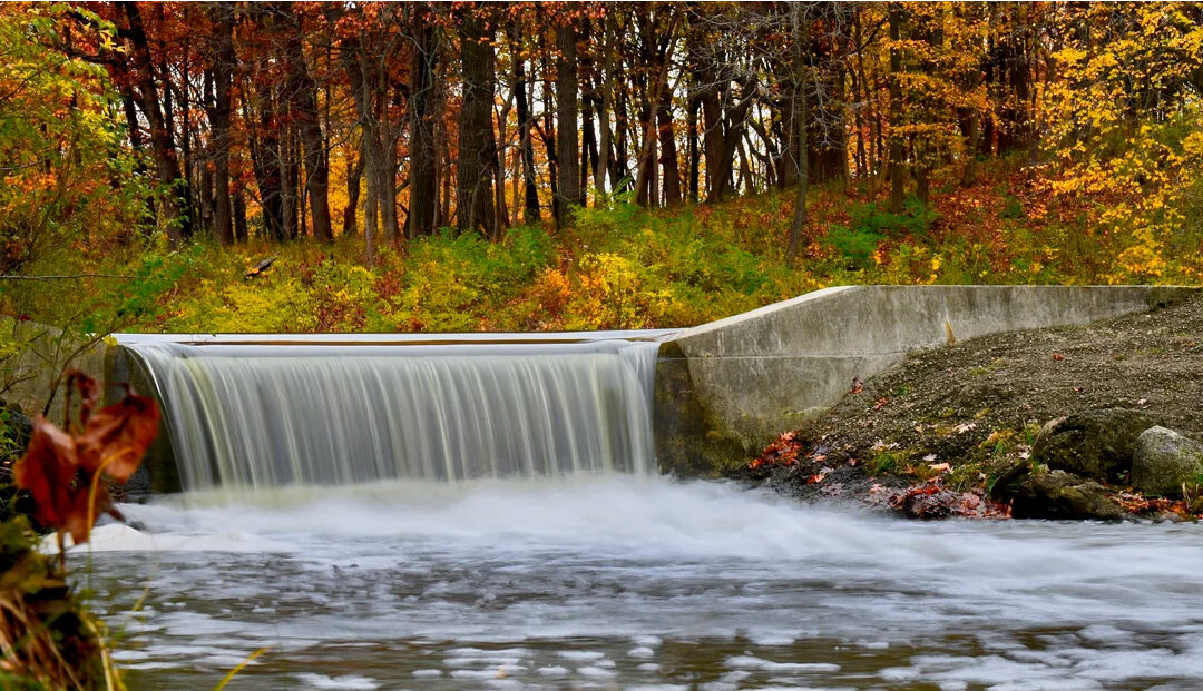 13 Places to See Fall Foliage in Chicago