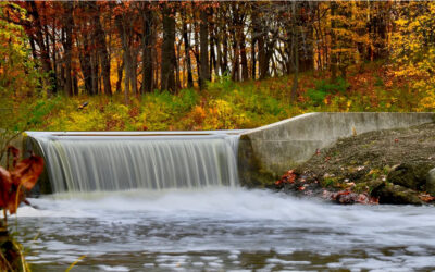 13 Places to See Fall Foliage in Chicago